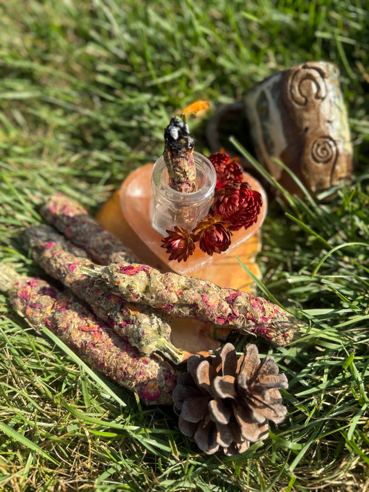 Mullein Hag’s Torch